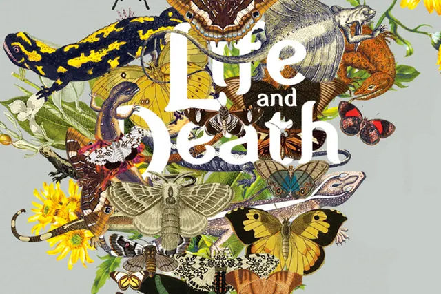 Soirée « Life and Death » : Blank nous emmène au bout de la vie !