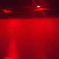 Party T