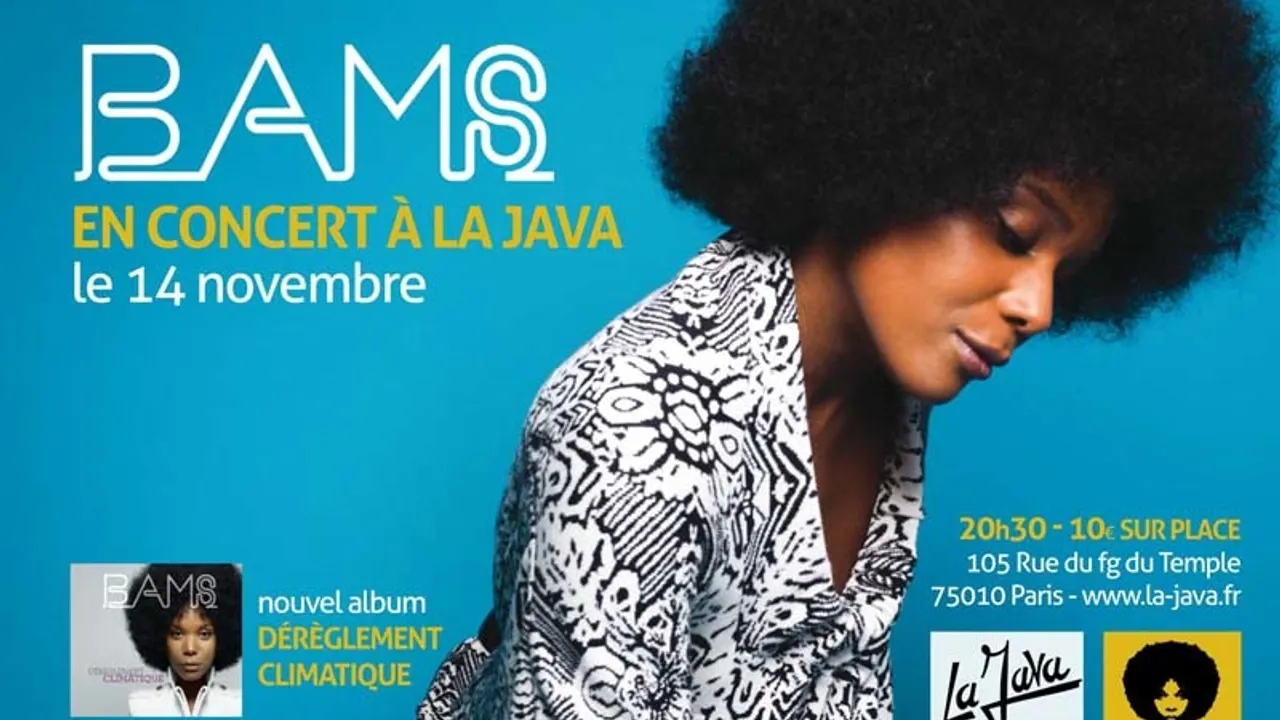 BAMS en concert