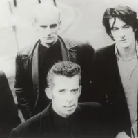 The Flaming Stars
