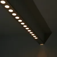 Vandal