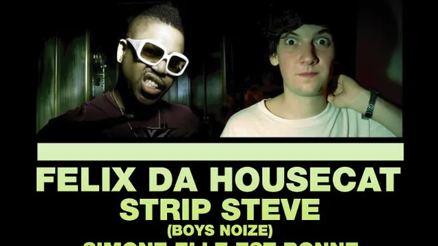 Felix Da Housecat