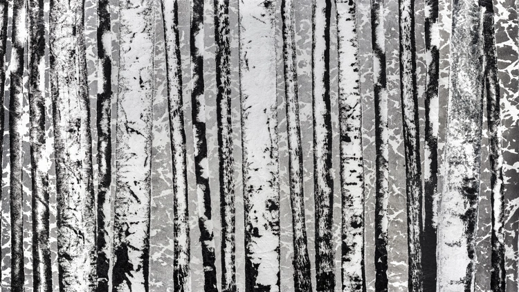 Exposition Pierre-Luc Poujol