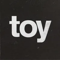 Toy