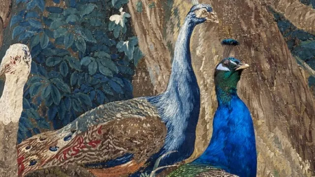Les Animaux font le mur