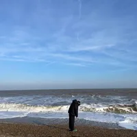 Not Waving