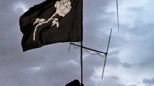 LIBERATO