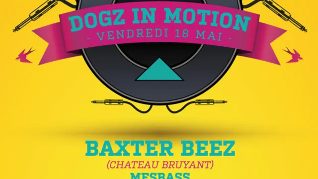 Dogz in Motion W/ Baxter Beez