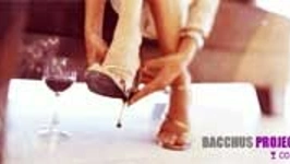 Bacchus Project