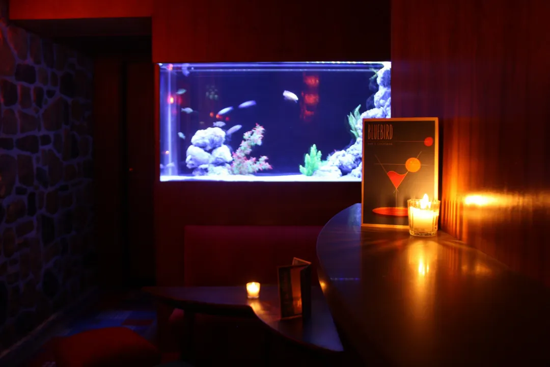 Bluebird Bar Paris