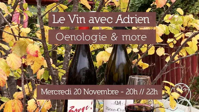 Le vin avec Adrien - Œnologie & more