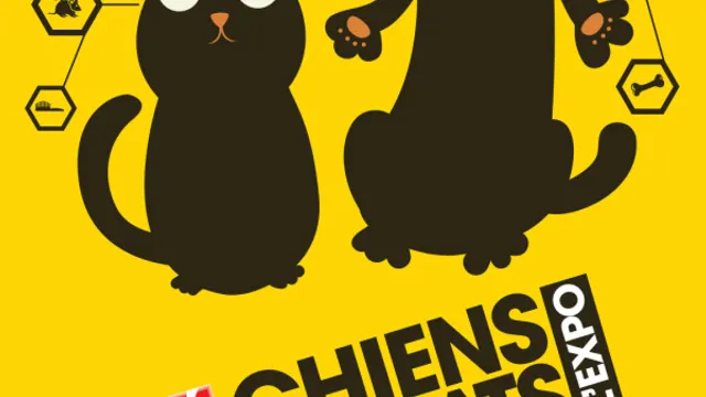Chiens & Chats L'expo Vous En Ressortirez Moins Bête
