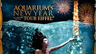 Aquarium's New Year 'Tour Eiffel'