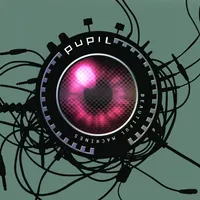 Pupil