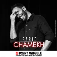 Farid Chamekh au Point Virgule