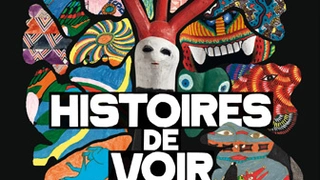 Histoires de voir
