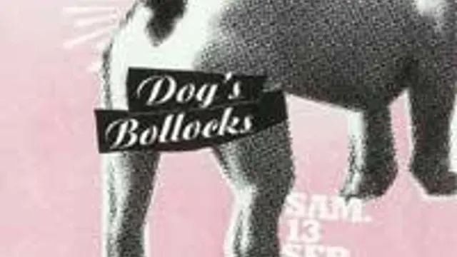 The Dog's Bollocks