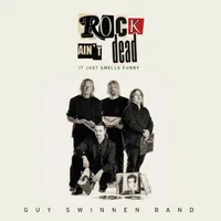 Guy Swinnen Band