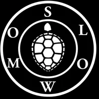 Slowmo P