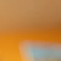 plcmnt