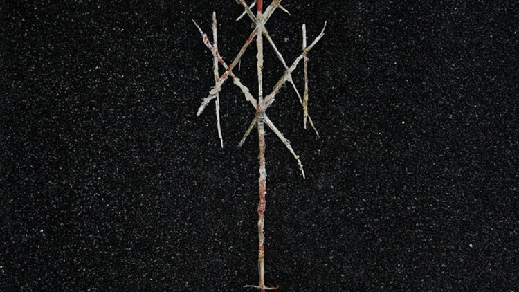 Wiegedood