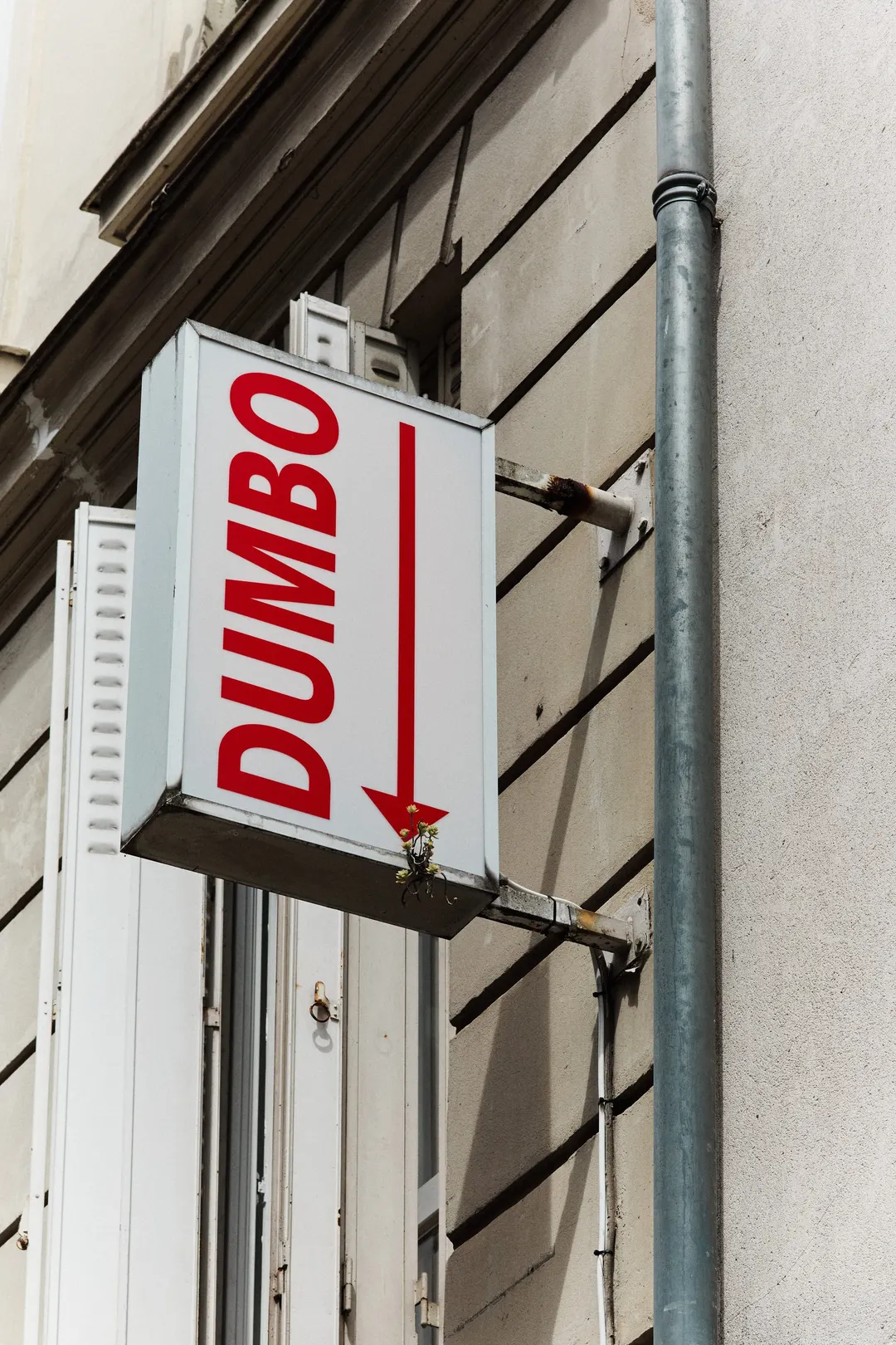 Dumbo Marais Restaurant Paris
