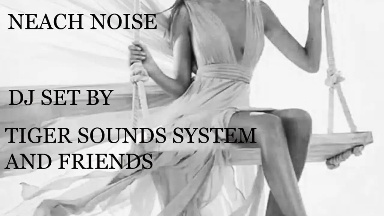 THE CRIMES / NEACH NOISE / TIGER SOUND SYSTEM AND FRIENDS