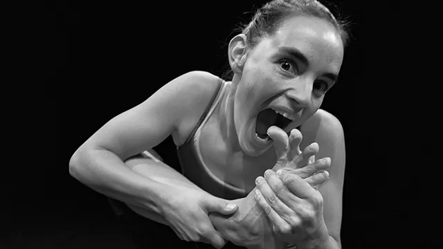 Lia Rodrigues / Béatrice Massin / Dominique Hervieu - Fables à la fontaine