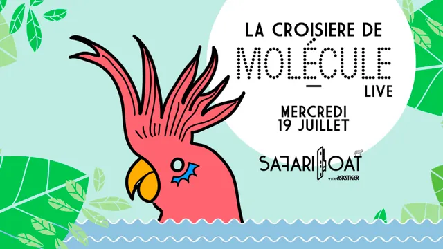 La Croisière Safari de Molécule (Live)
