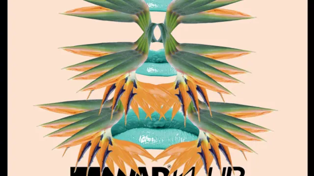 WADKLUB