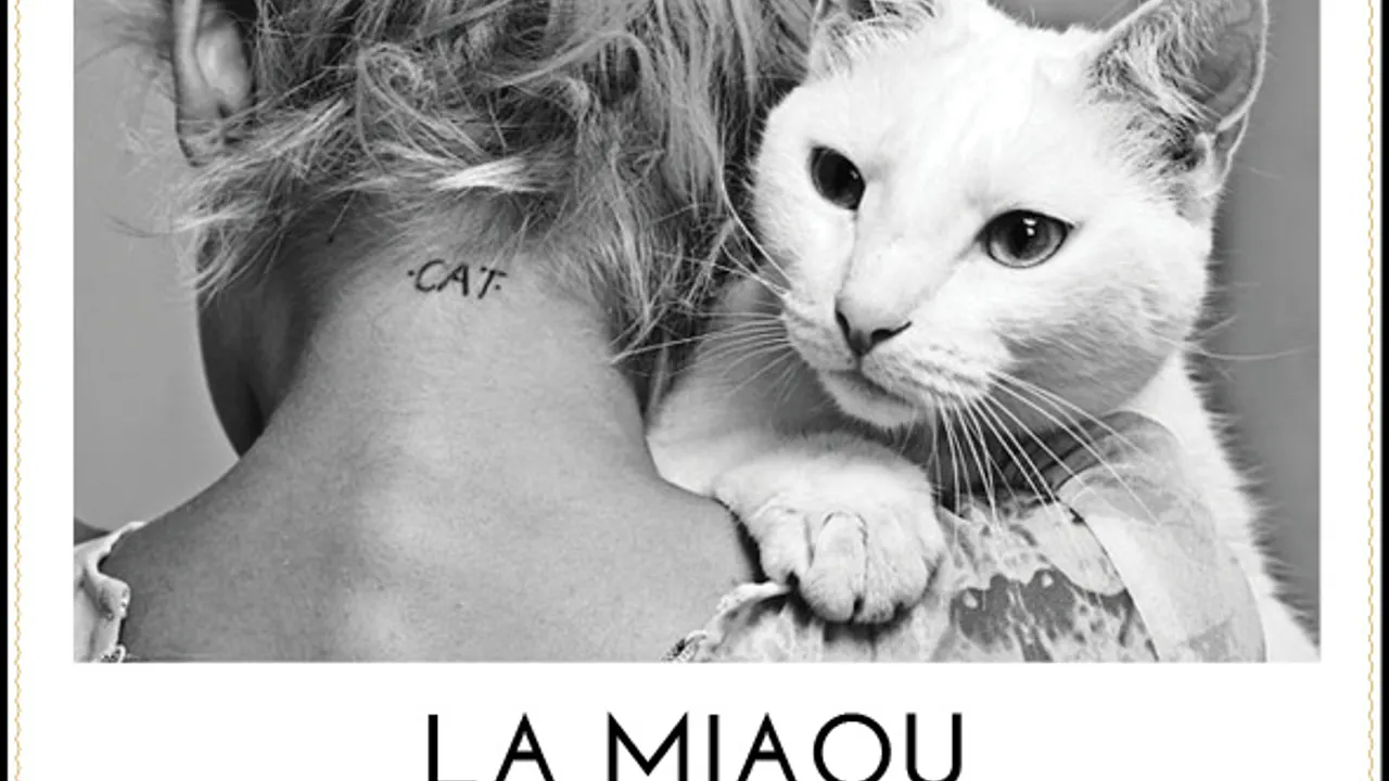La Miaou: Apero & Soirée