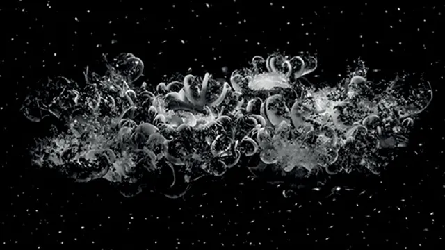 Poussières silencieuses // Sandrine Elberg