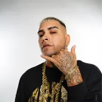 Callejero Fino