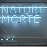 Tumultes : réflexion profonde de 6 artistes sur la place de l'Homme et du Vivant