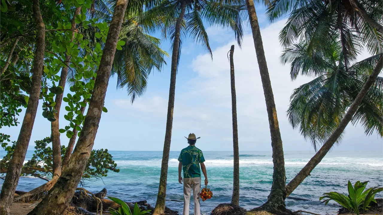 Exposition « Palm » de Matt Henry