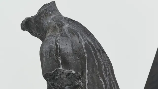 Visite guidée de l'exposition-résidence de Hugo Servanin : « Morphose »