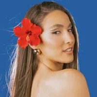 Evangelia