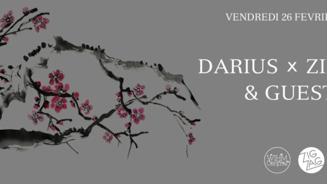 Darius & Zimmer