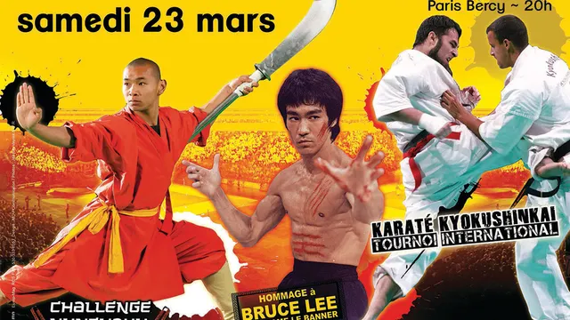 28e Festival des Arts Martiaux