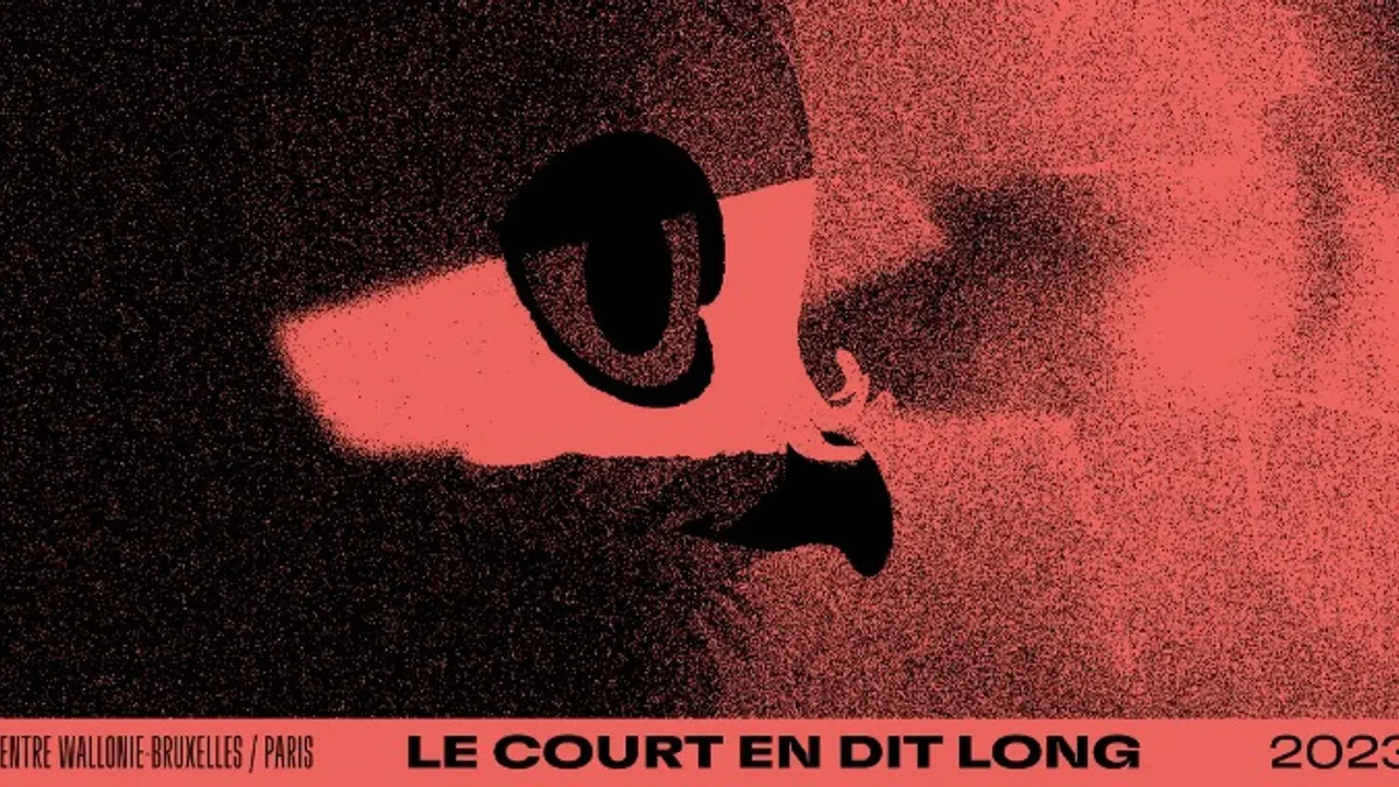 Cinéma & Art vidéo : 31e Festival Le Court en dit long