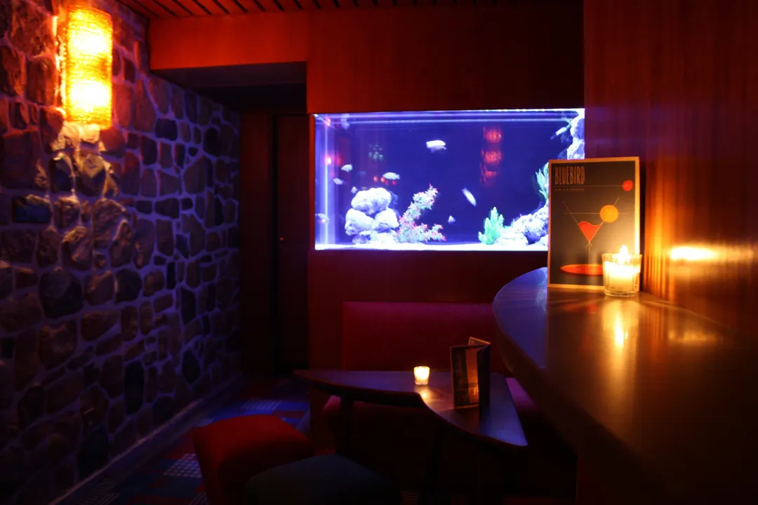 Bluebird Bar Paris