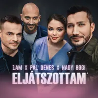 Pál Dénes