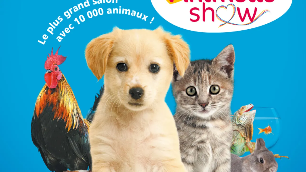 Animal expo & Animalis show