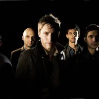 White Rabbits