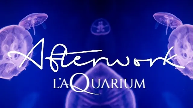 Afterwork @ (TOUT!) l'Aquarium de Paris