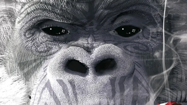 Shaka Ponk