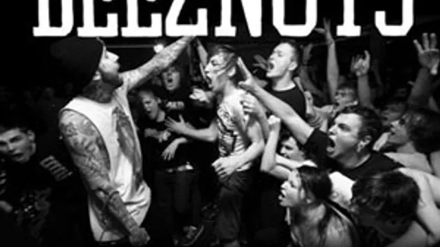 Bout it tour 2013 with deez nuts + Stray From the Path