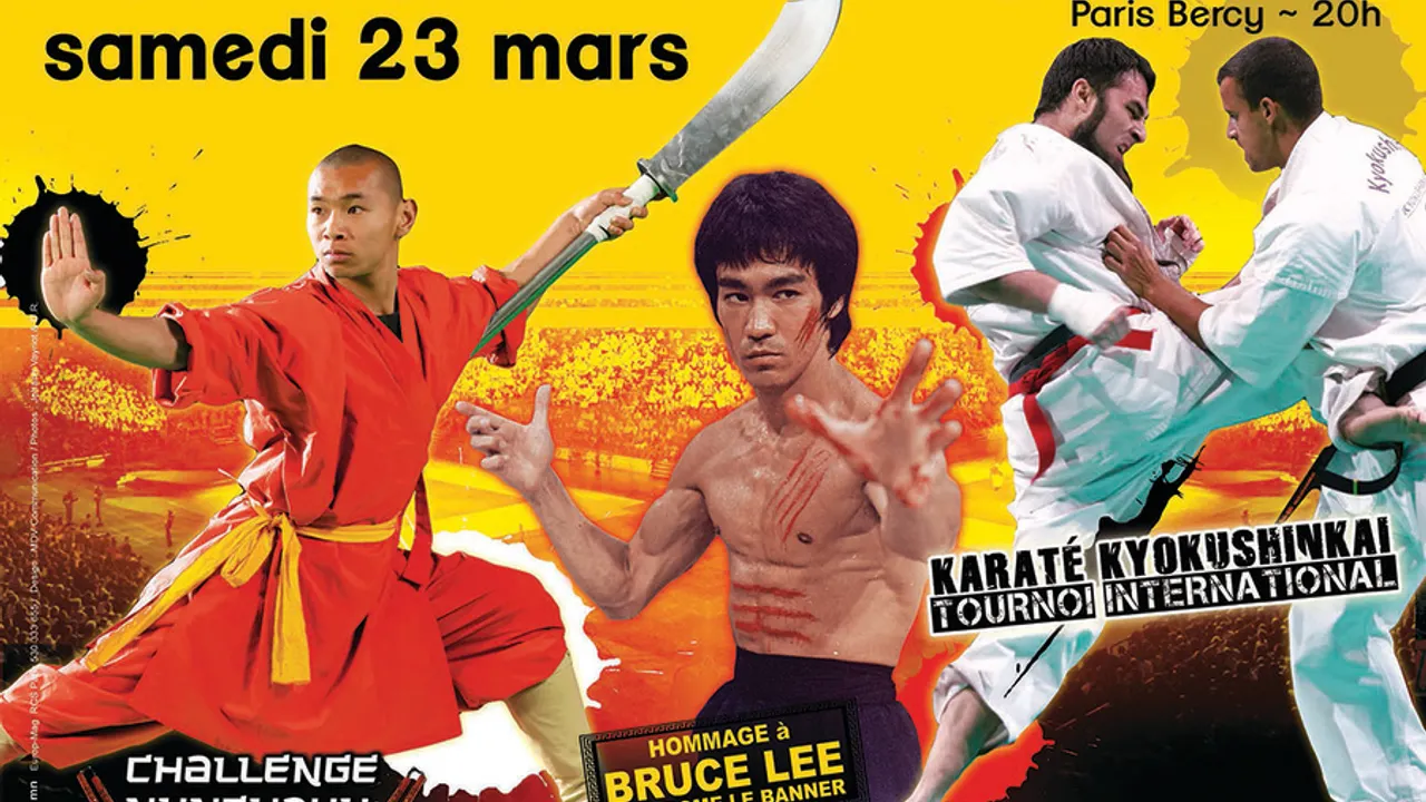 28e Festival des Arts Martiaux