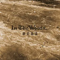 In The Woods...
