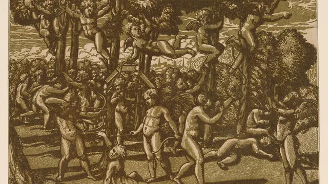 Gravure en clair-obscur - Cranach, Raphaël, Rubens...